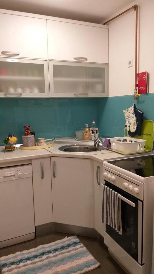 סראייבו Apartman Sa Garazom I Internetom מראה חיצוני תמונה